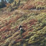 Hole in the Wall Campground