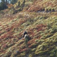 Hole in the Wall Campground ico