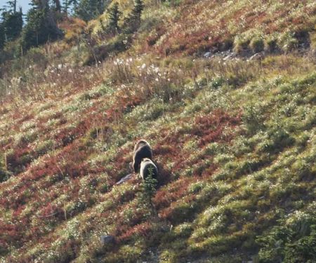 Hole in the Wall Campground
