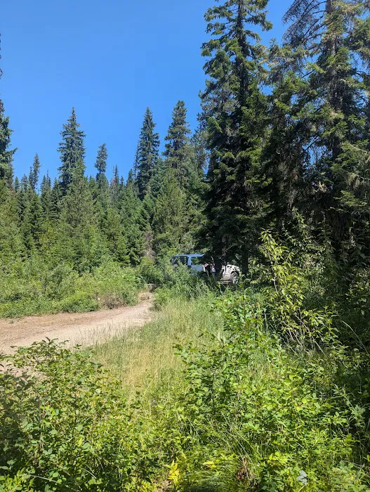White Sand Campground Picture 10