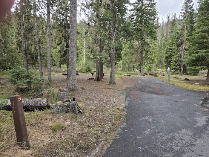 Powell Campground Picture 6