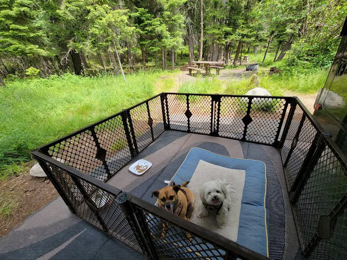 Powell Campground Picture 9