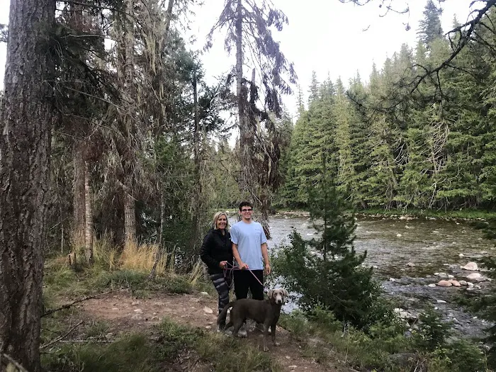 Powell Campground Picture 8