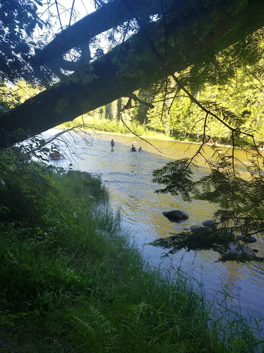 Whitehouse Campground Picture 3