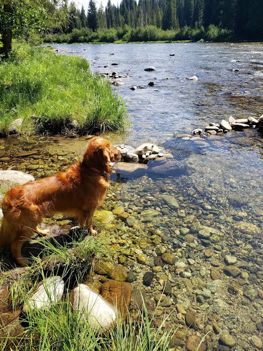 Whitehouse Campground Picture 10