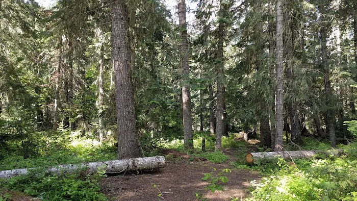 Wendover Campground Picture 4