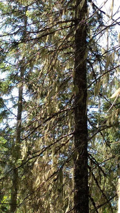 Wendover Campground Picture 1