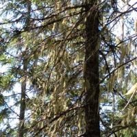 Wendover Campground ico