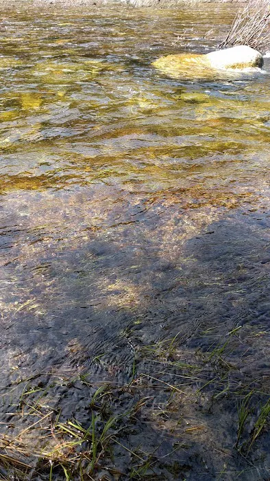 Wendover Campground Picture 2