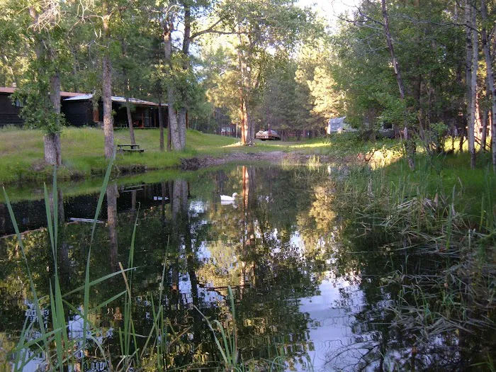 God's Country Camping Picture 6