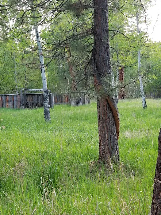 God's Country Camping Picture 8