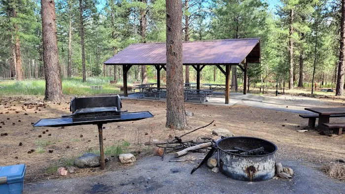 Larry Creek Group Campground Picture 1