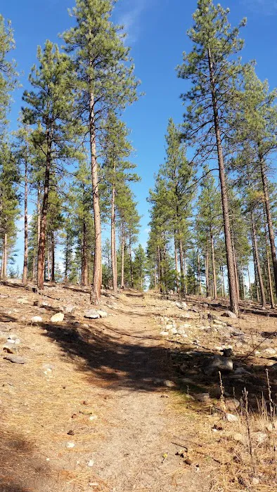 Larry Creek Group Campground Picture 10