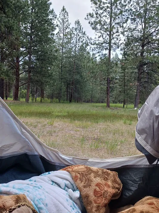 Larry Creek Group Campground Picture 9