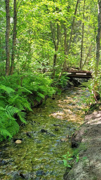 Larry Creek Group Campground Picture 6