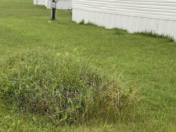 Carrington Pointe Picture 6