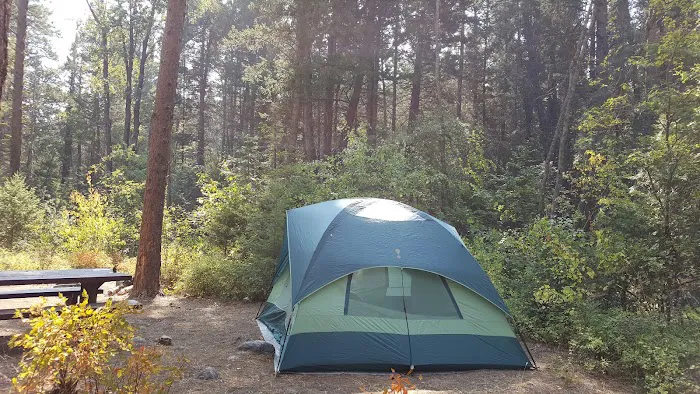 Charles Waters Campground Picture 9