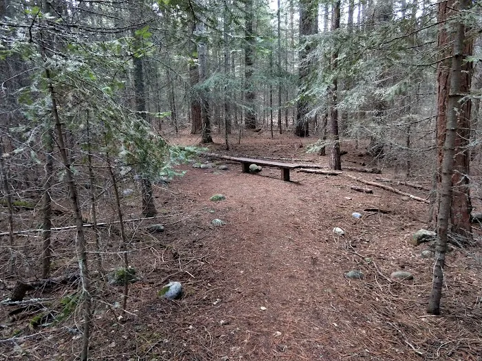 Charles Waters Campground Picture 5