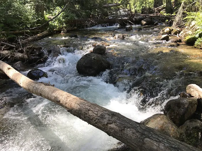 Charles Waters Campground Picture 6