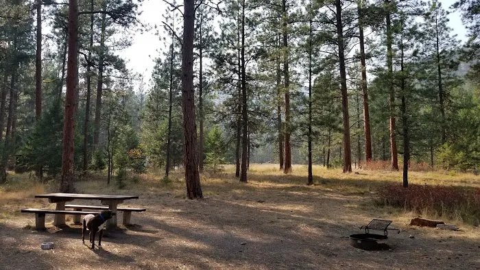 Charles Waters Campground Picture 2