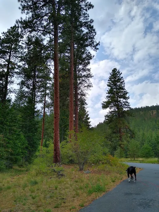 Charles Waters Campground Picture 4