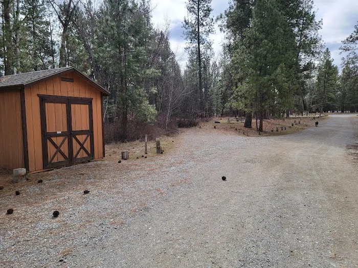 Chief Looking Glass Campground Picture 2