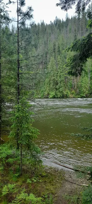 Chief Looking Glass Campground Picture 3