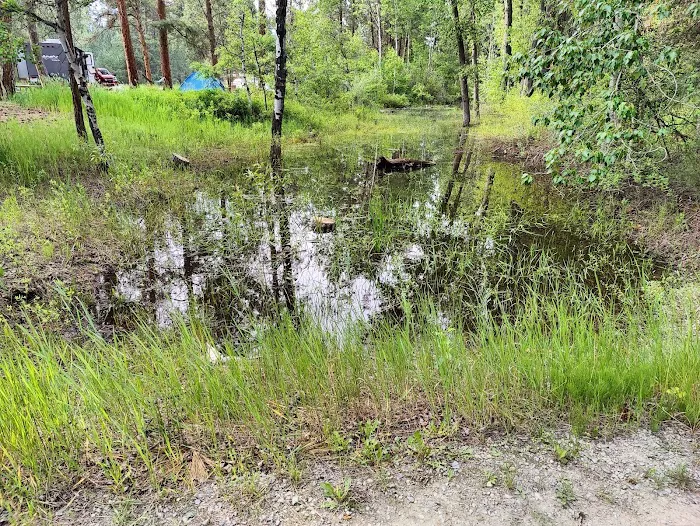 Chief Looking Glass Campground Picture 7