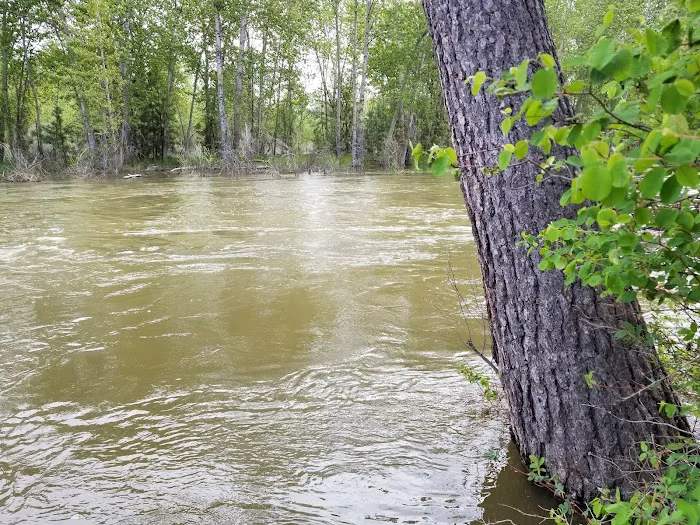 Chief Looking Glass Campground Picture 10