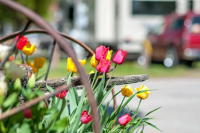 Missoula KOA Holiday Picture 2