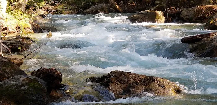 Mission Falls Campground Picture 8