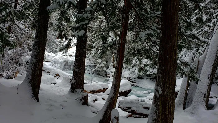 Mission Falls Campground Picture 5