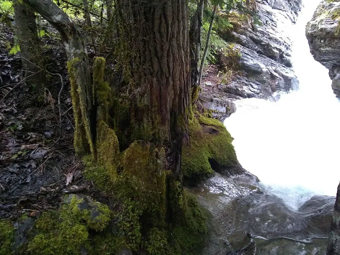 Mission Falls Campground Picture 7