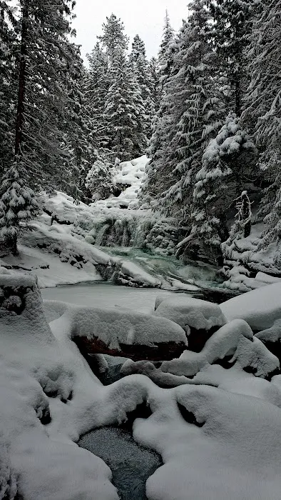 Mission Falls Campground Picture 6