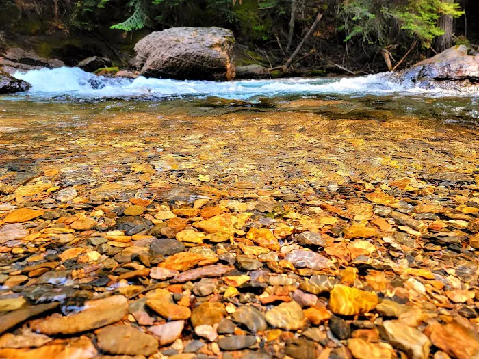 Mission Falls Campground Picture 4