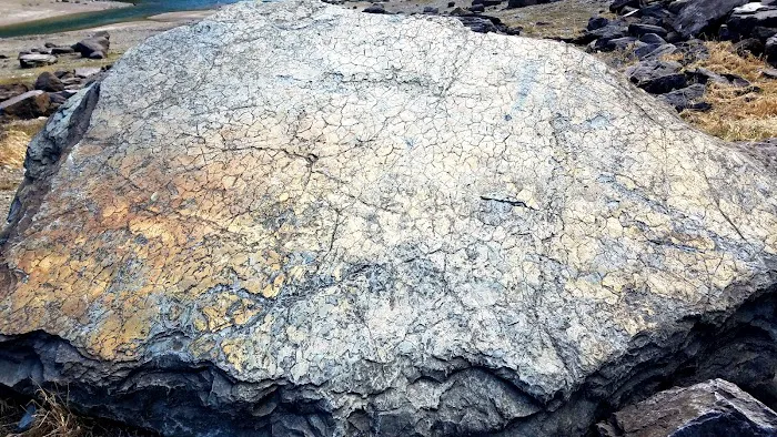 McDonald Lake Campground Picture 6