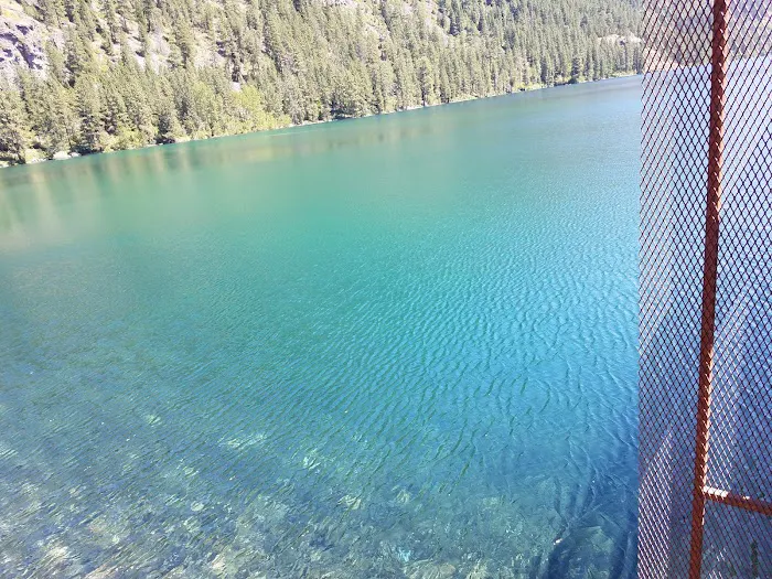 McDonald Lake Campground Picture 10