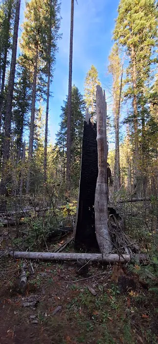 Jerry Johnson Campground Picture 4