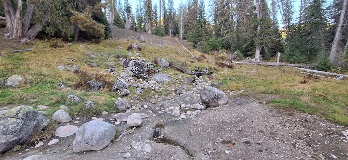 Jerry Johnson Campground Picture 5