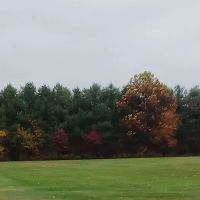 Lakeland Manor Mobile Home Park ico