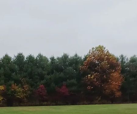 Lakeland Manor Mobile Home Park