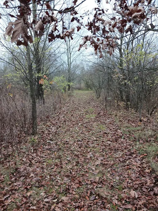 Lakeland Manor Mobile Home Park Picture 4