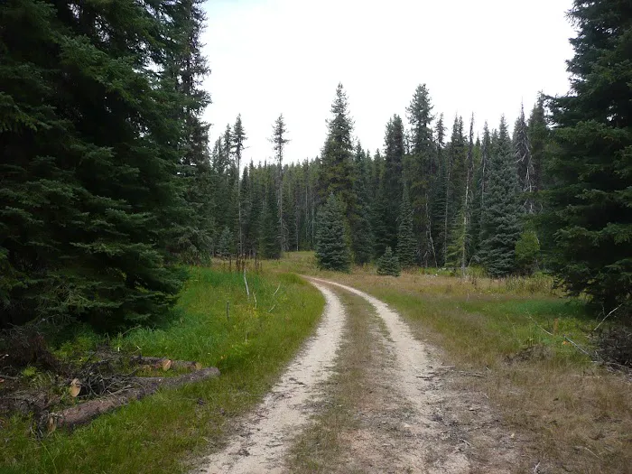 Table Meadows Campground Picture 2