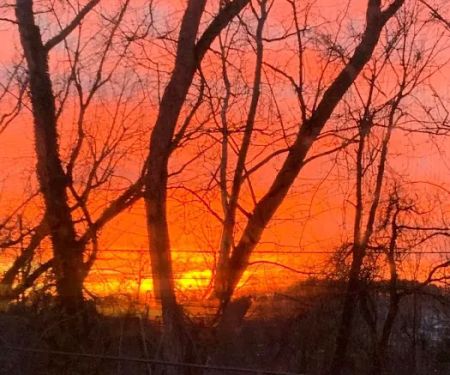 Walnut Hill Community