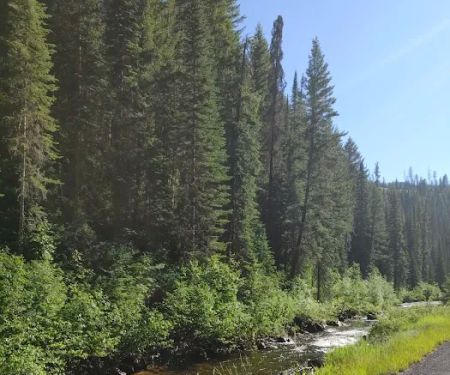 Elk City Ranger District