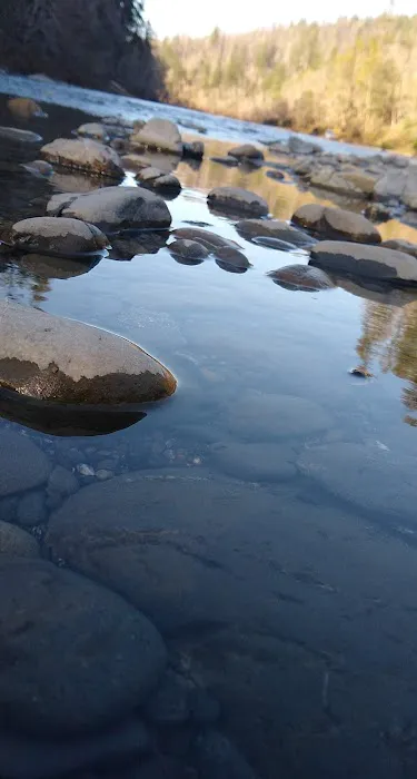 Redwood Bar Picture 3