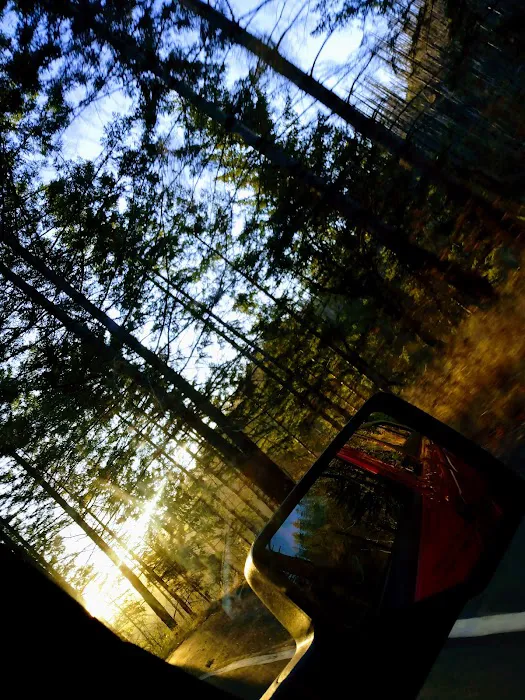 Redwood Bar Picture 6