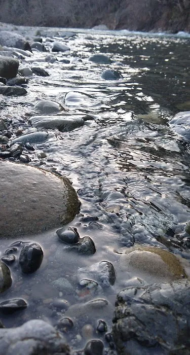 Redwood Bar Picture 4