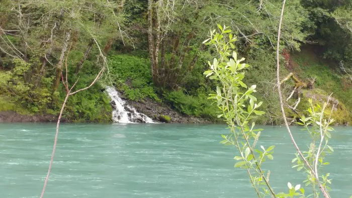 Miller Bar Campground Picture 8