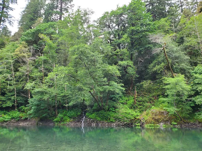 Miller Bar Campground Picture 9